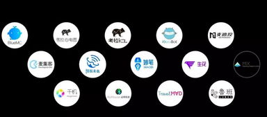 網(wǎng)紅無法取代4A廣告公司的深層邏輯